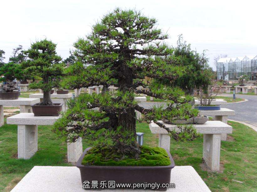 SDC12893.JPG