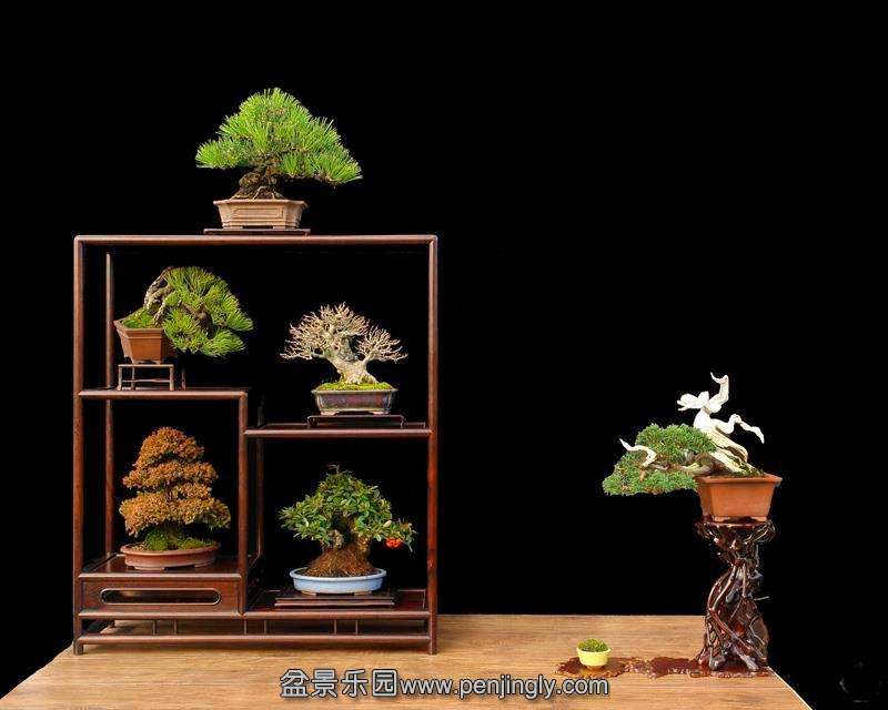 bshohin_display_1_20130221_1800268389.jpg