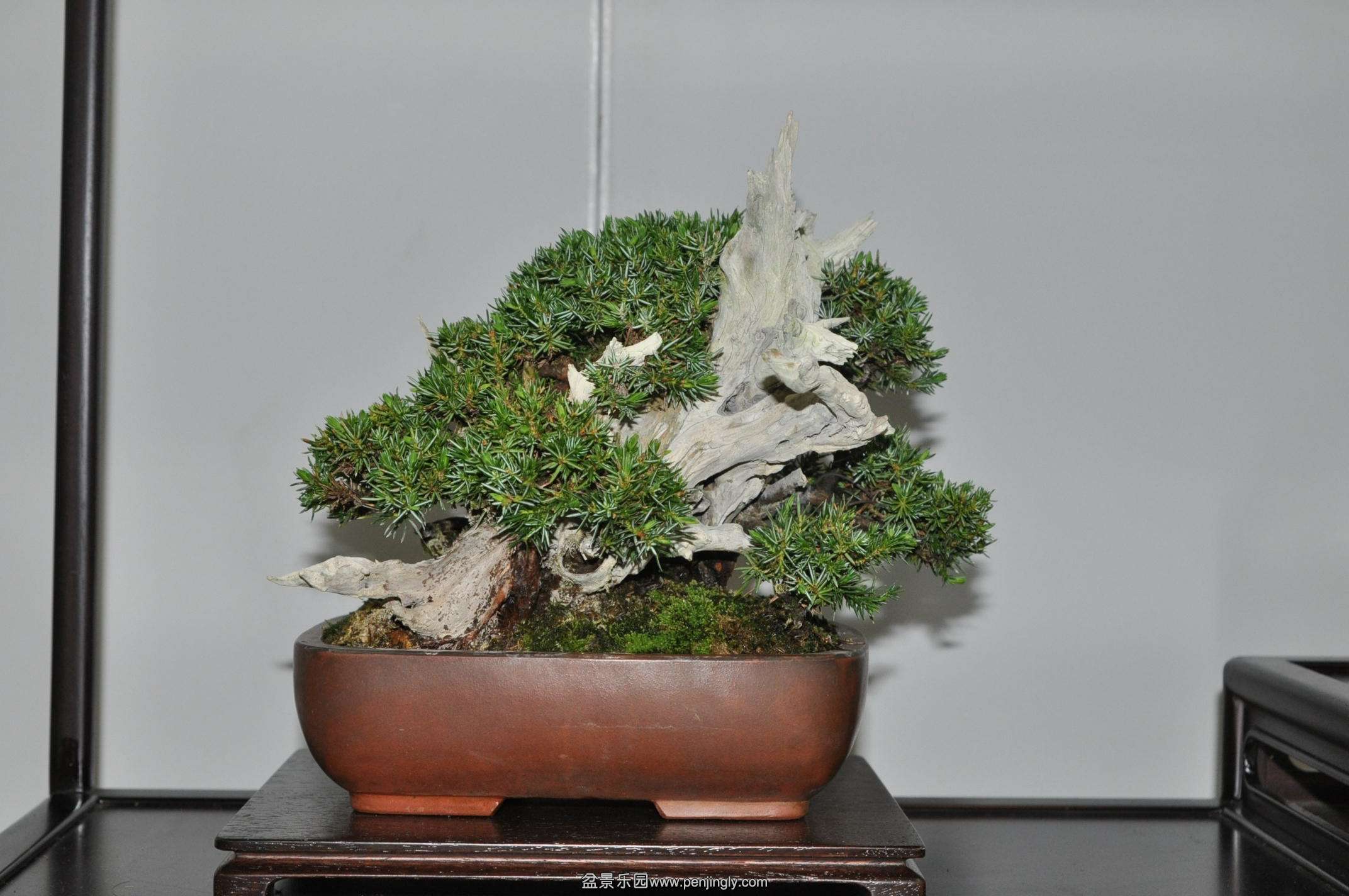 DSC_0626.JPG
