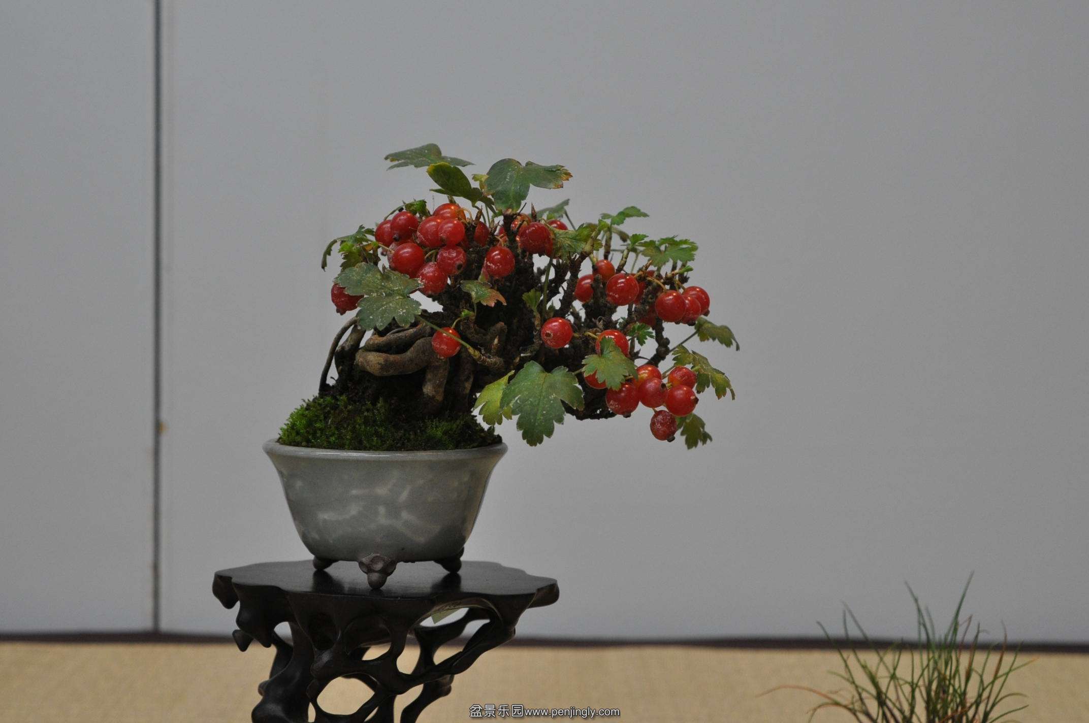 DSC_0629.JPG