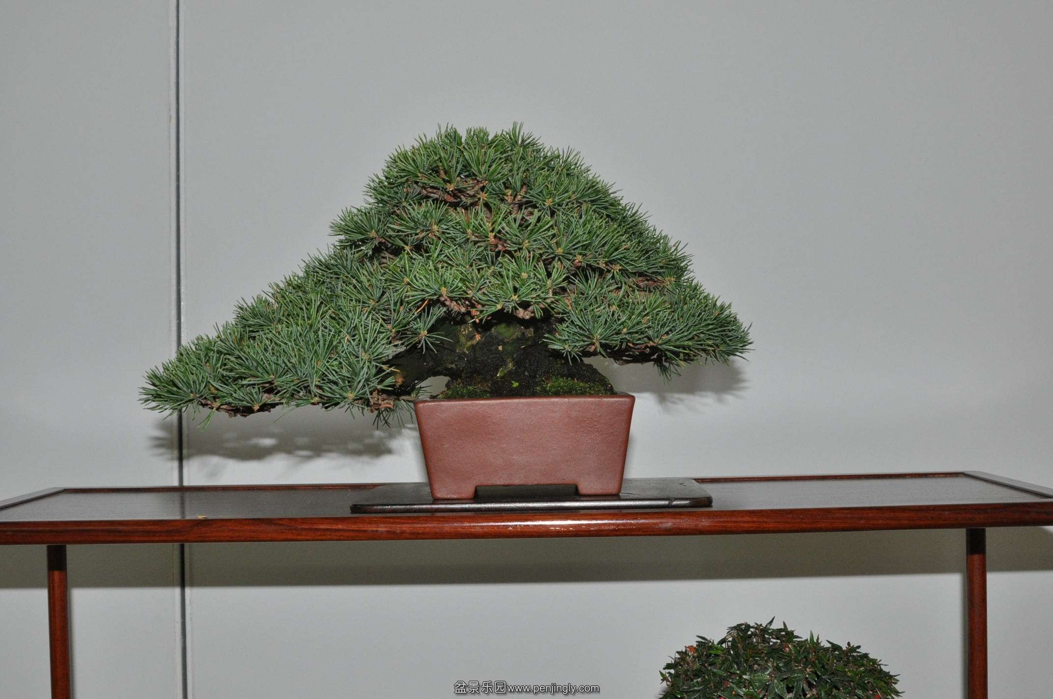 DSC_0634.JPG