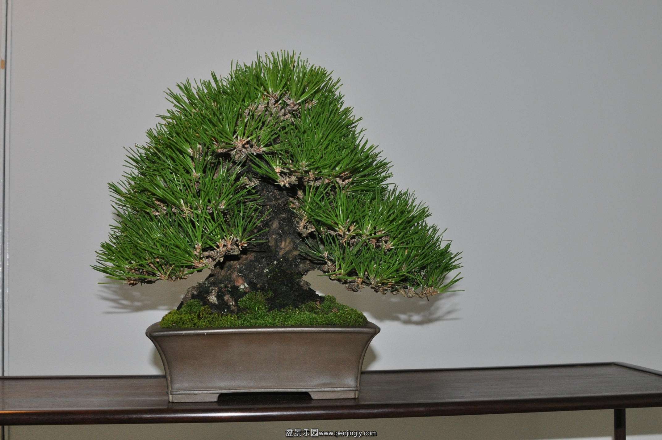 DSC_0638.JPG