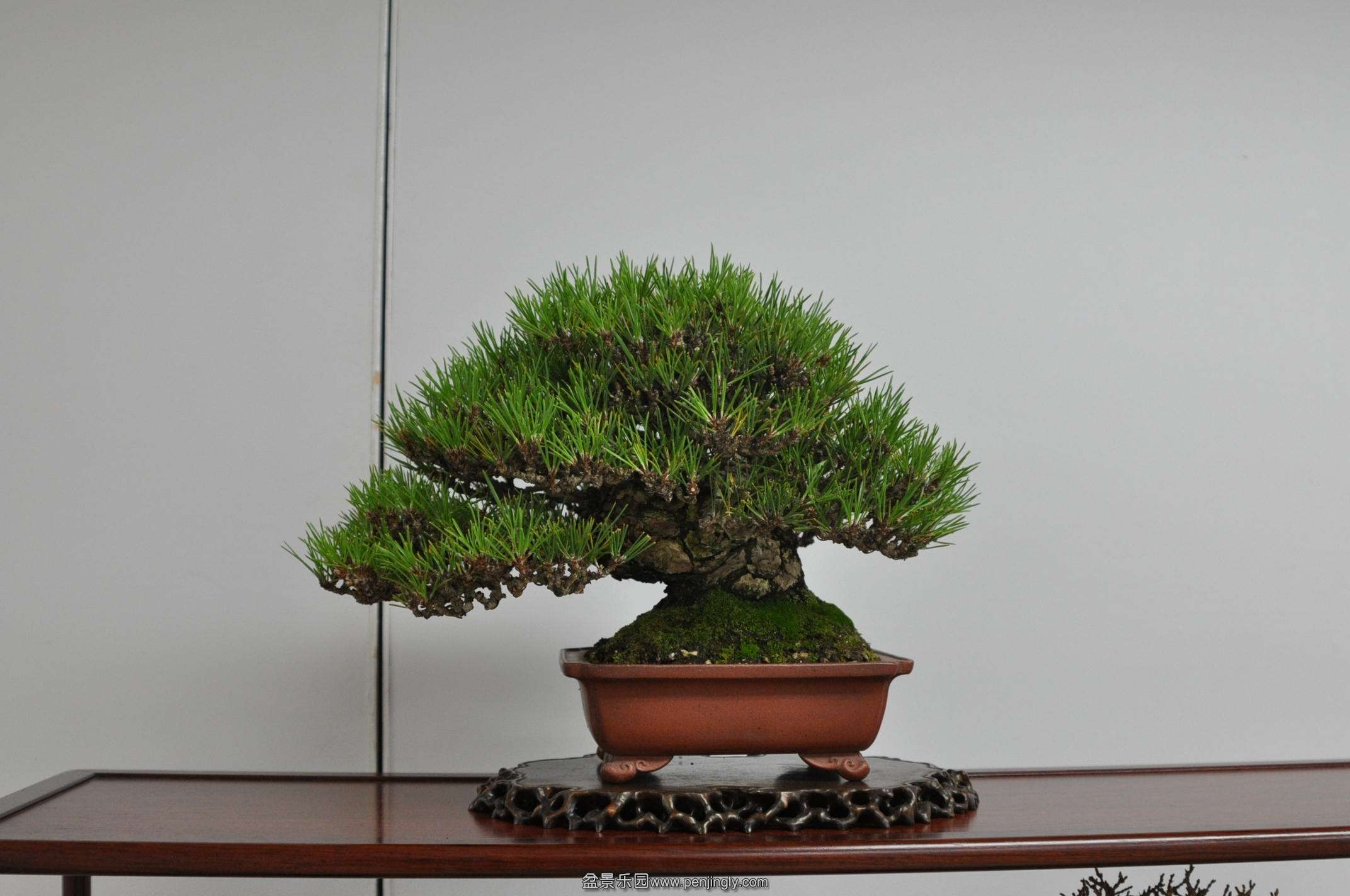 DSC_0641.JPG