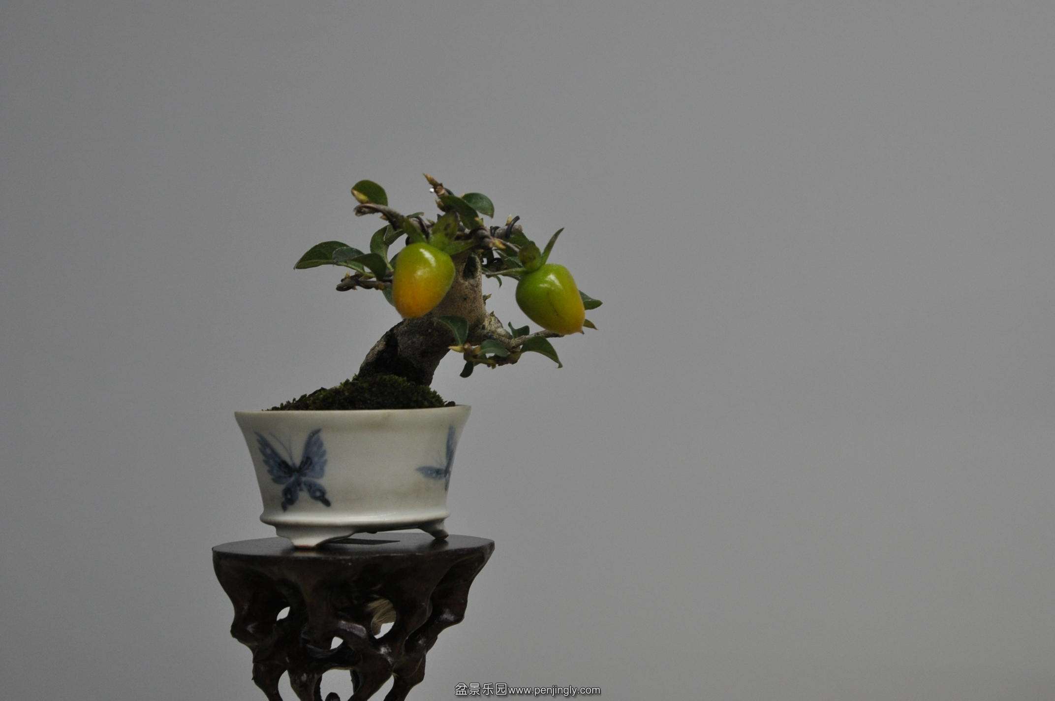 DSC_0693.JPG