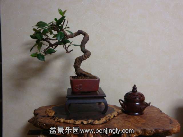 DSC05855.JPG