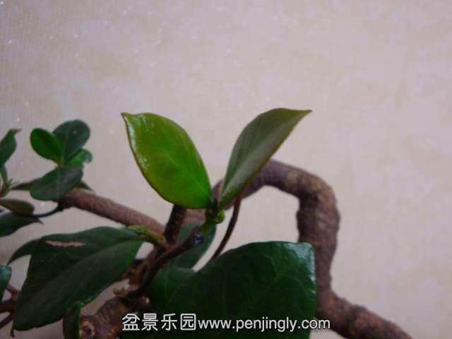 DSC05859.JPG