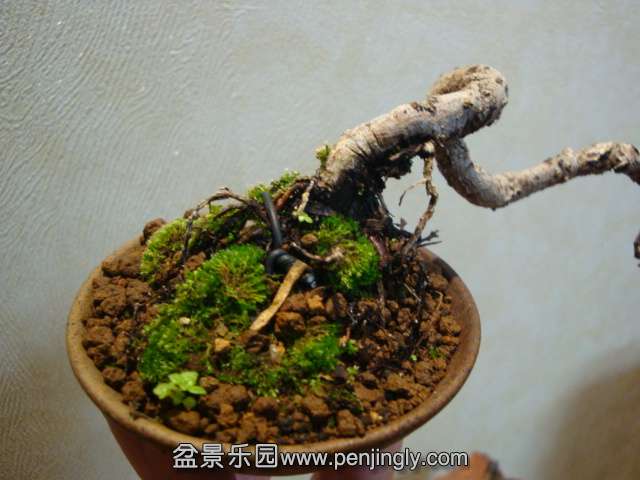 DSC05952.JPG