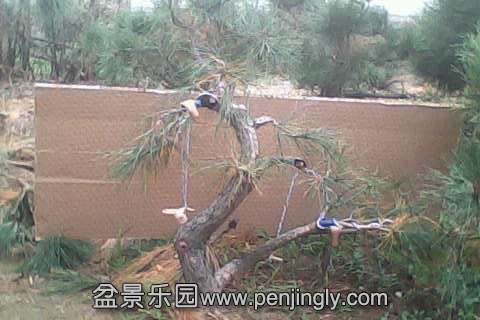 IMG0493A.jpg