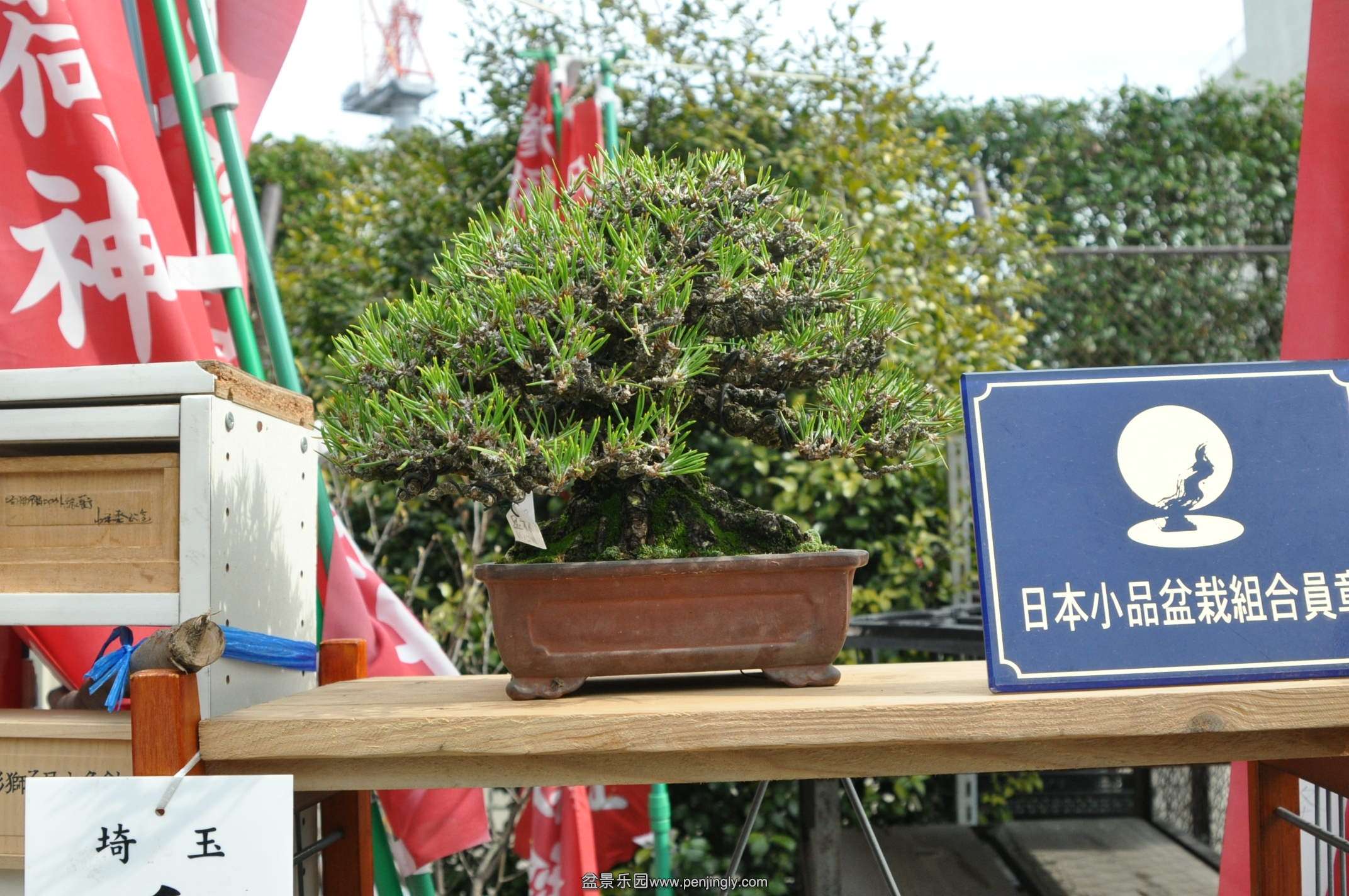 DSC_0717.JPG