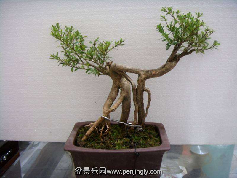 SDC14054_.jpg