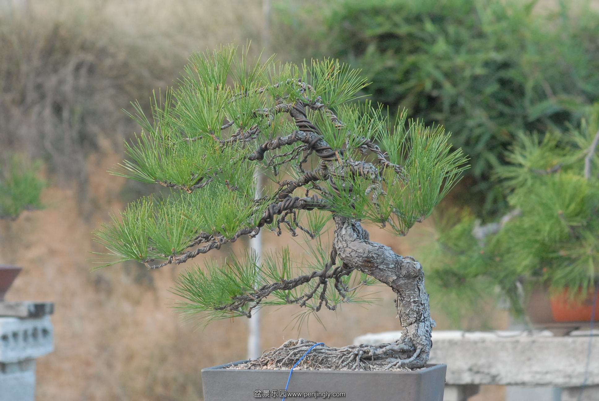 2013յ״̬