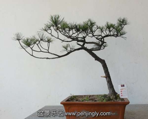 204311s5t2i2bw5gykgtwn.jpg.thumb(3).jpg