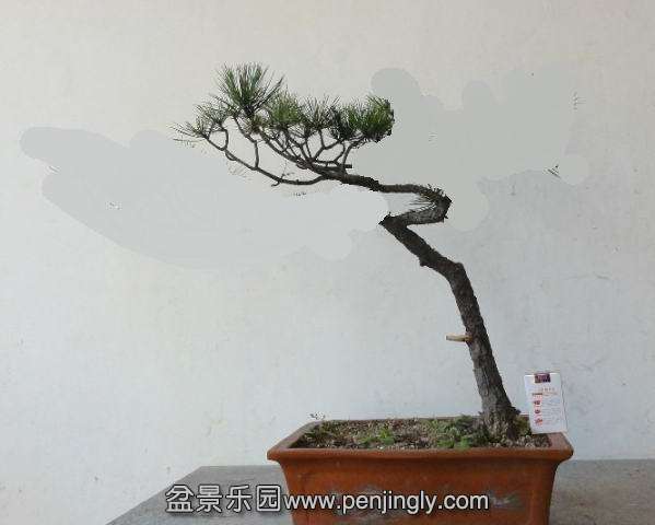 204311s5t2i2bw5gykgtwn.jpg.thumb(2).jpg