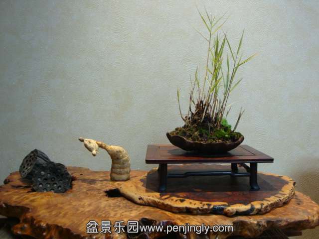DSC05766.JPG