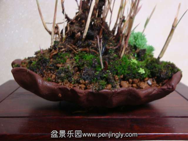 DSC05770.JPG