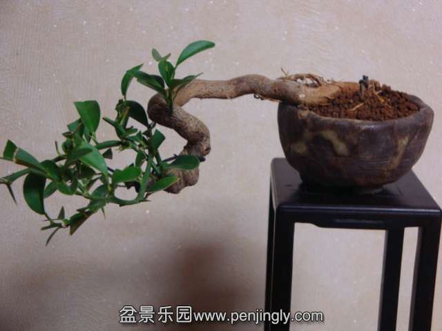DSC05876.JPG