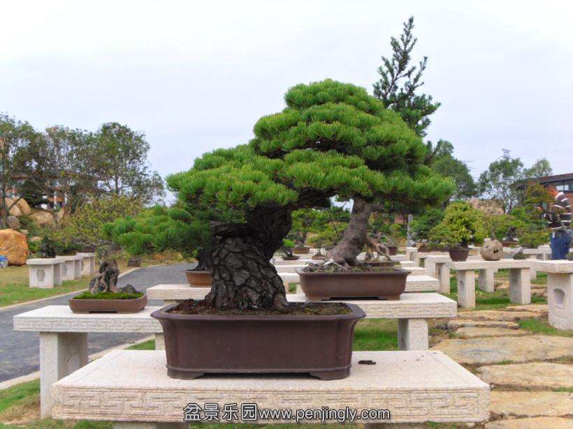 SDC12900.JPG