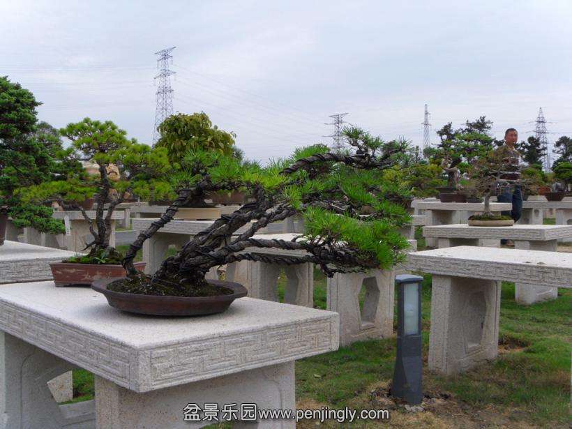 SDC12901.JPG