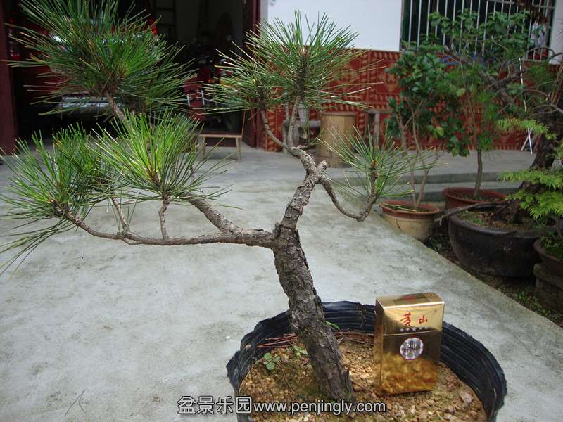 DSC01287_.jpg