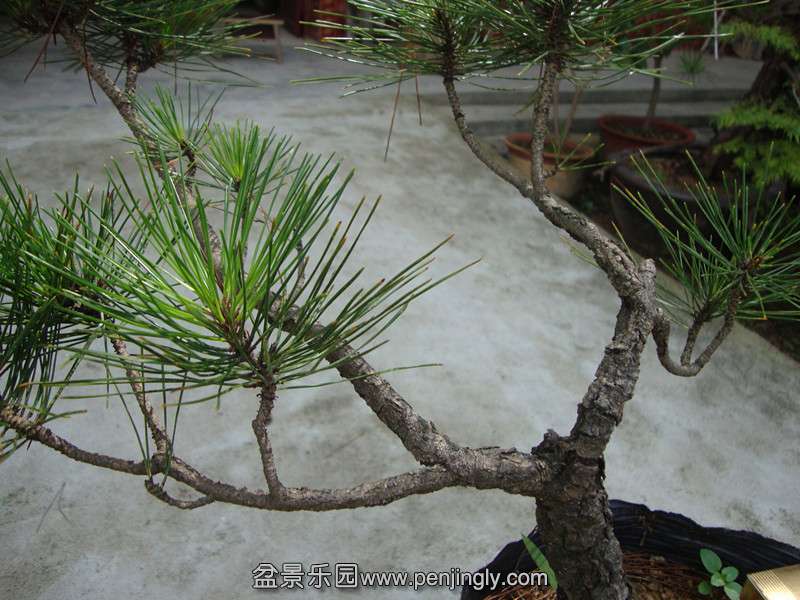 DSC01290_.jpg