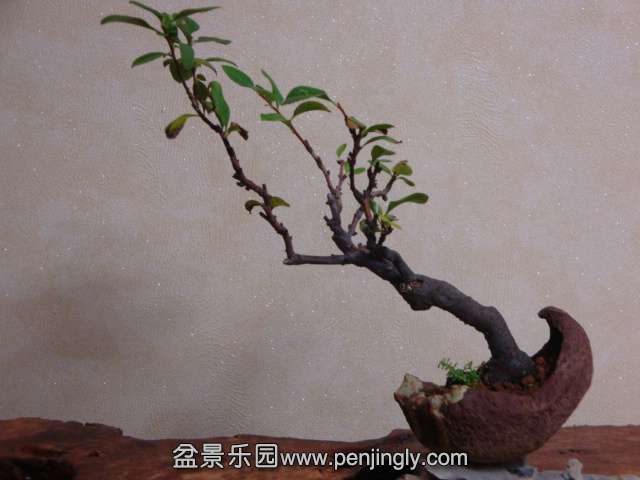 DSC05880.JPG