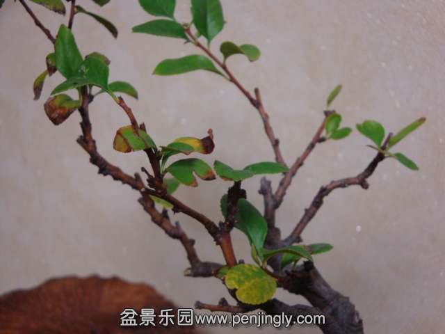 DSC05881.JPG