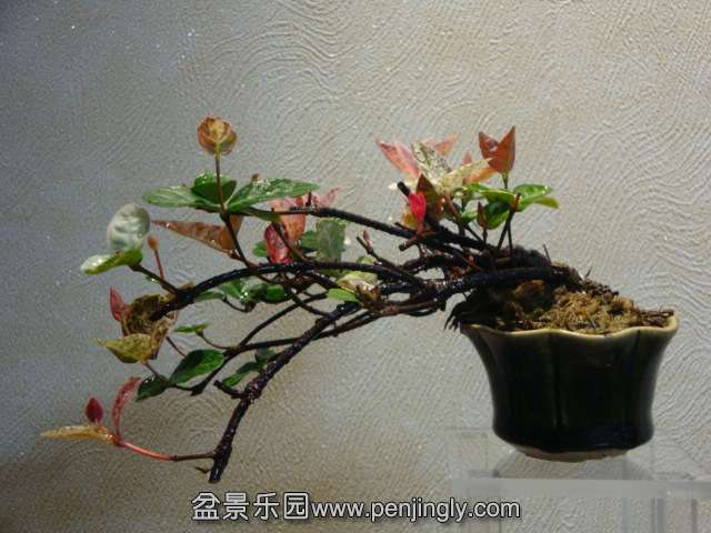 DSC04132.JPG