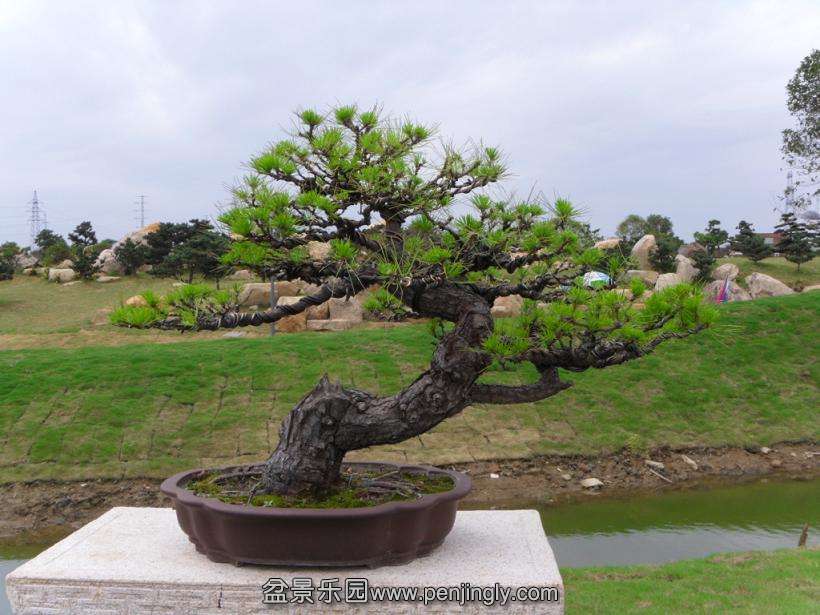 SDC12908.JPG