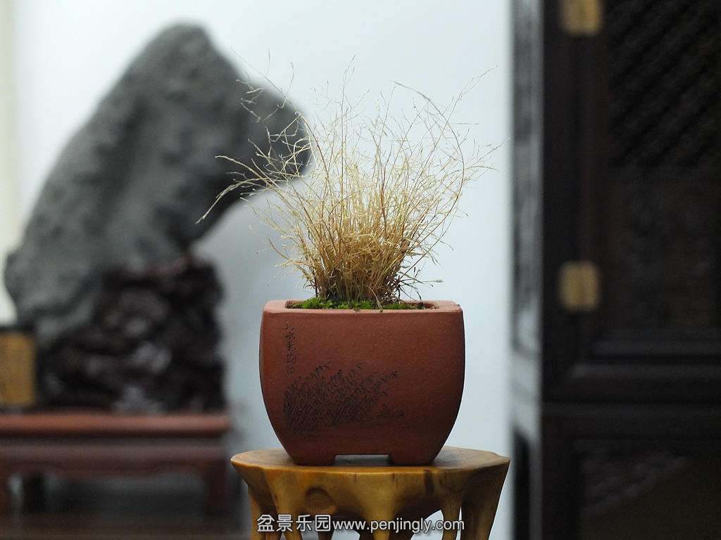DSCF8281.jpg