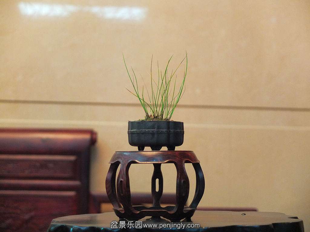 DSCF8359.jpg