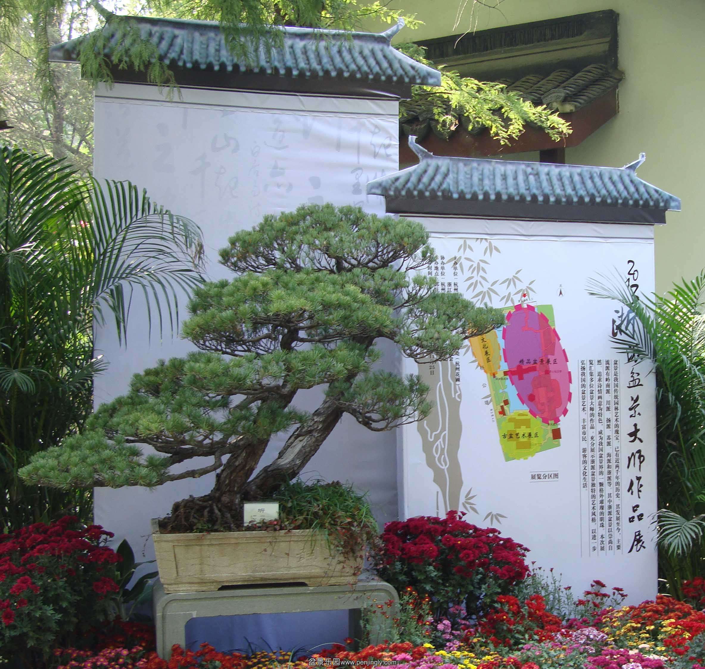 DSC0682833.jpg