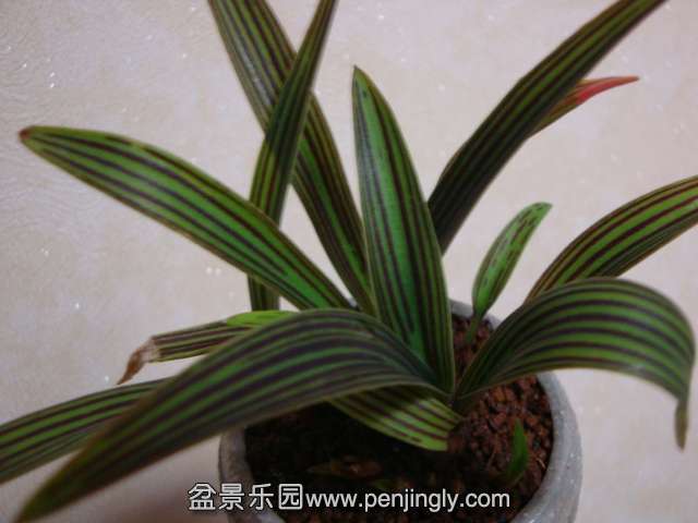 DSC05894.JPG