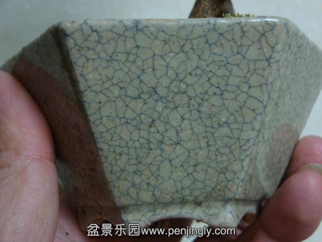 DSC05888.JPG