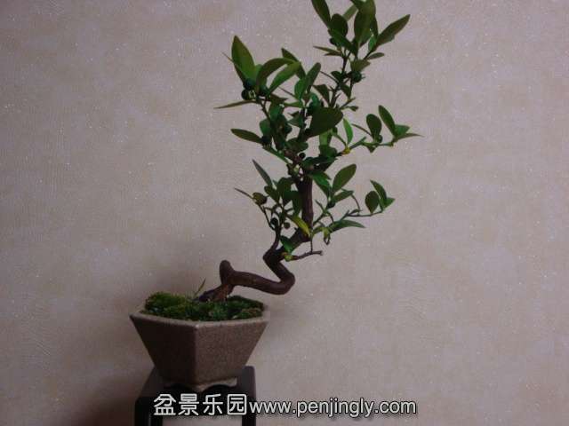 DSC05884.JPG