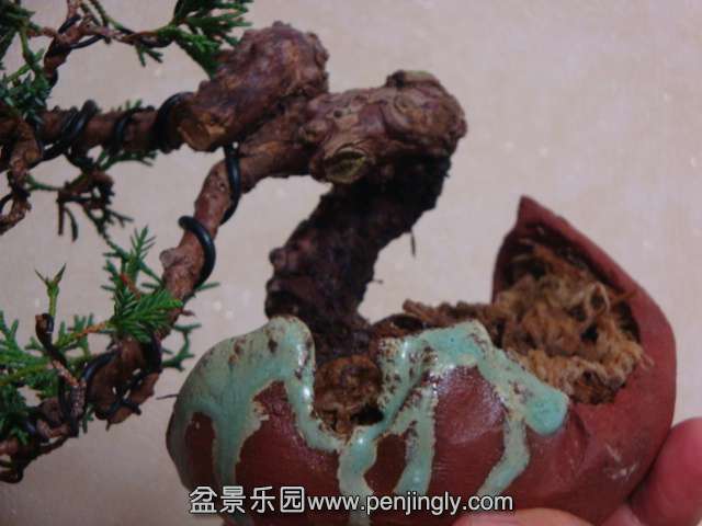 DSC05909.JPG