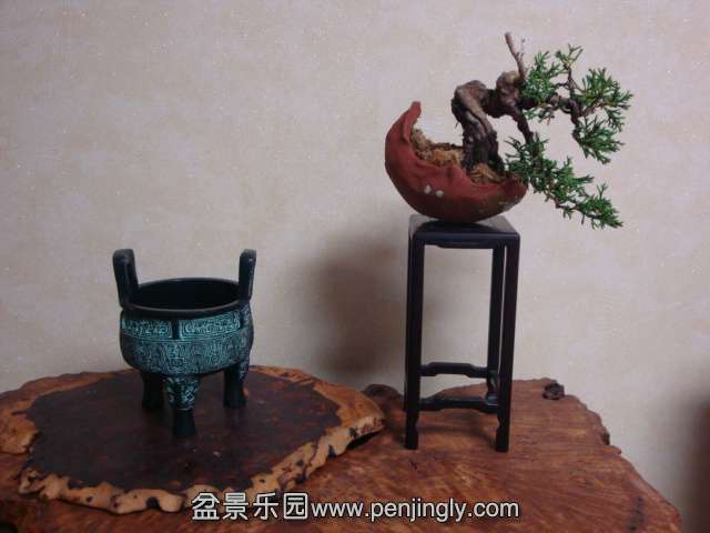 DSC05904.JPG