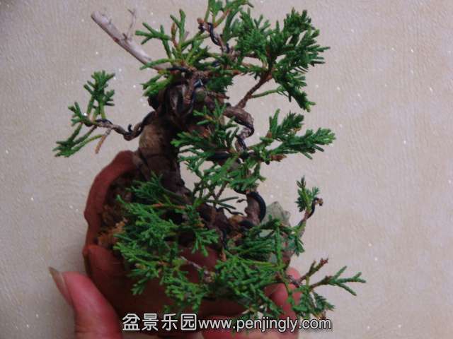 DSC05908.JPG
