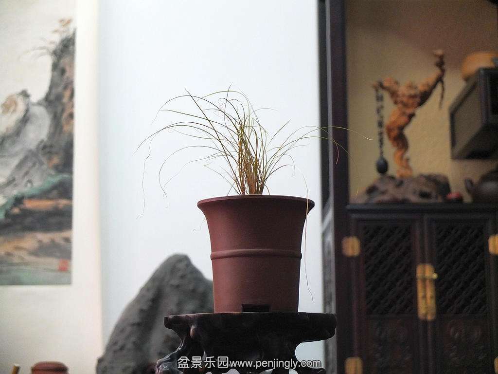 DSCF8726.jpg
