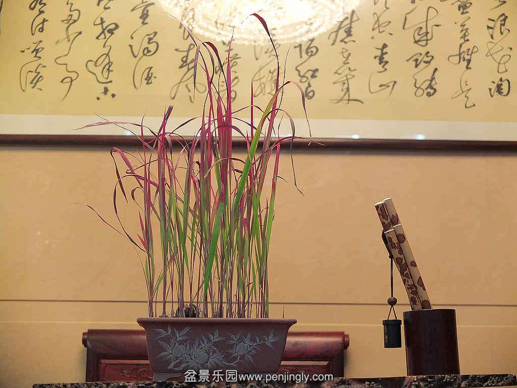 DSCF8854.jpg