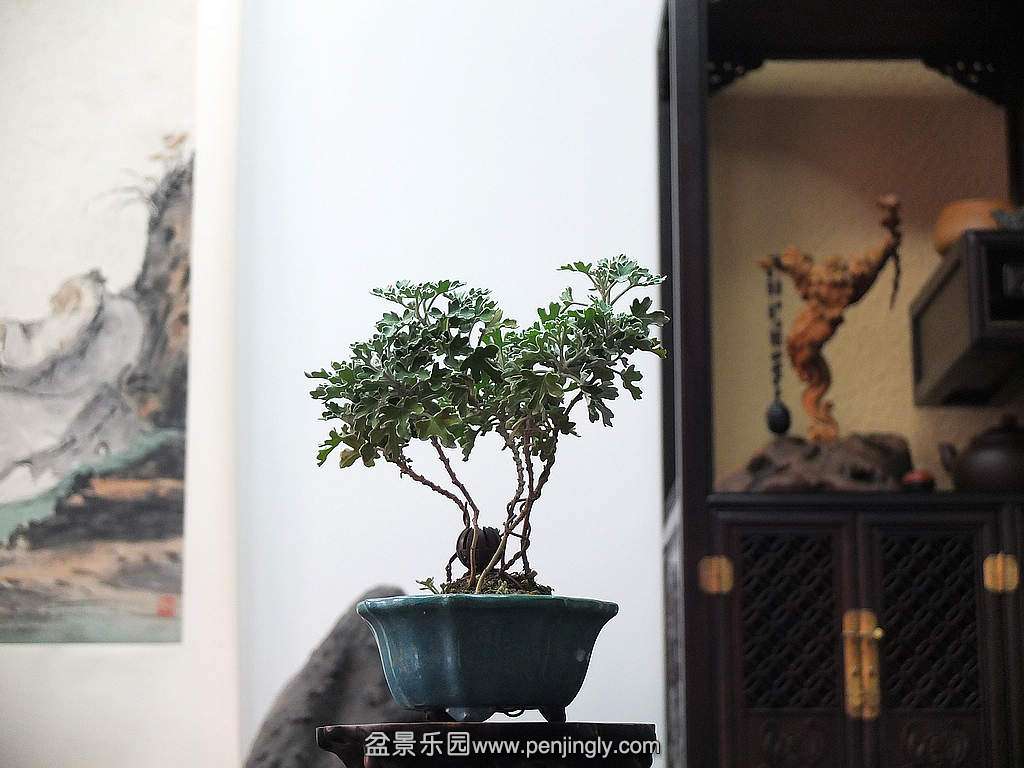 DSCF8732.jpg