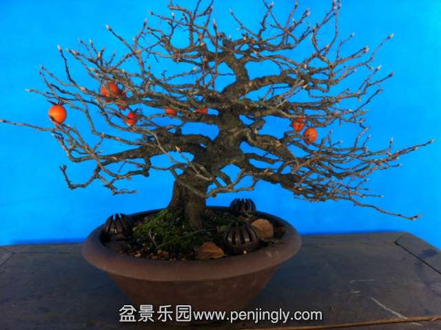 IMG_2348 (640x478).jpg
