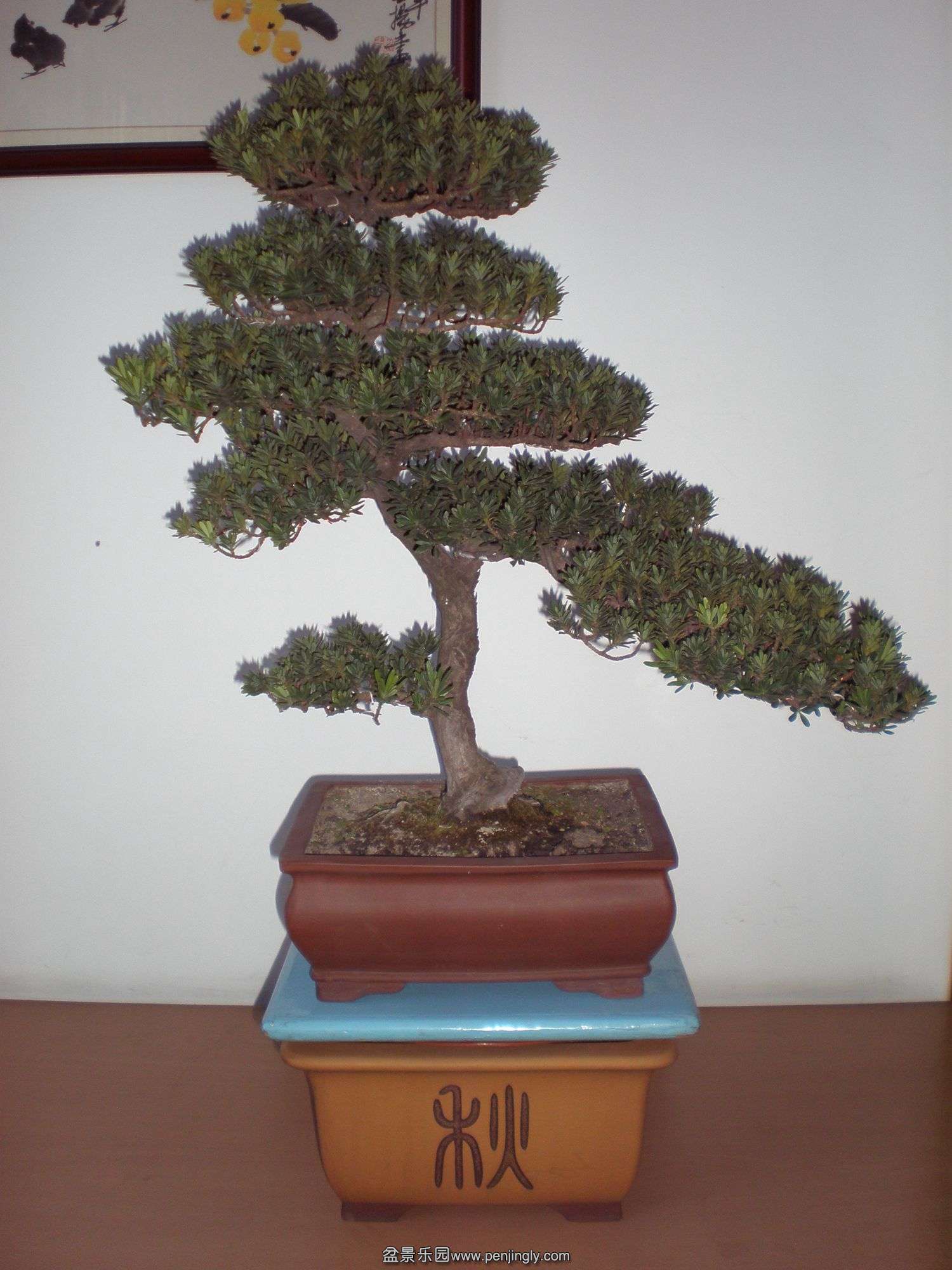 P1010270_.jpg