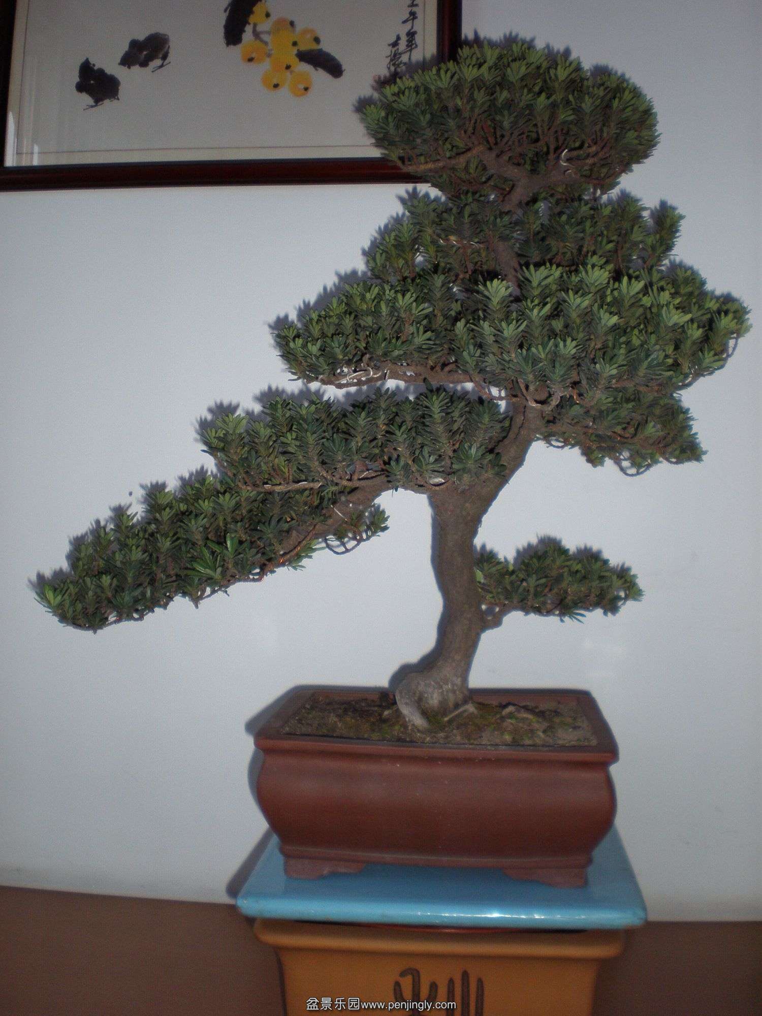 P1010278_.jpg