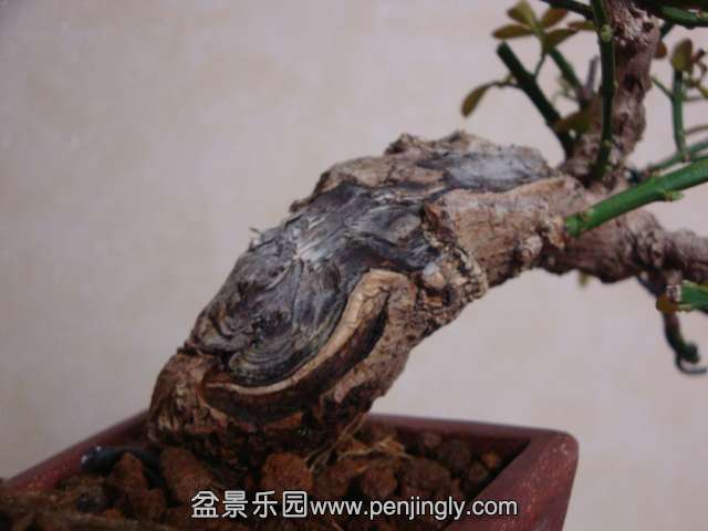 DSC05914.JPG