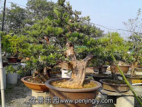 UC_Photo_004.jpg