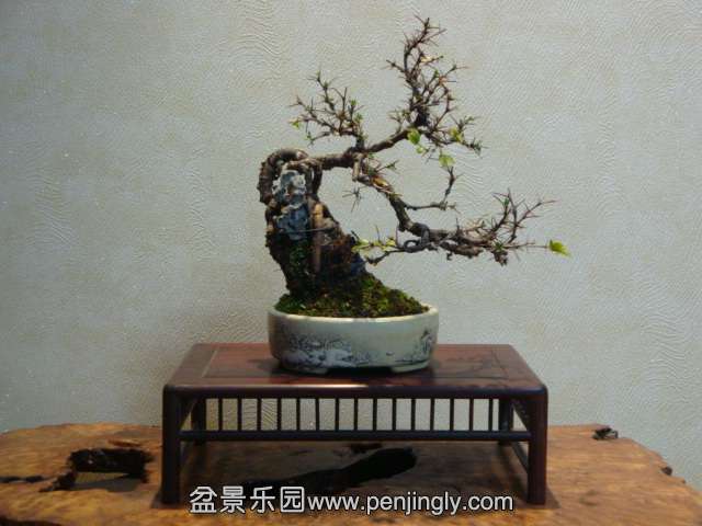 DSC06049.JPG
