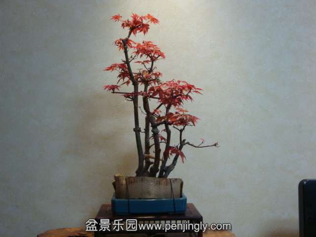 DSC06042.JPG