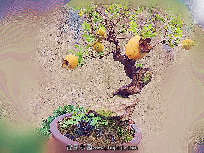 DSCN1626_.jpg