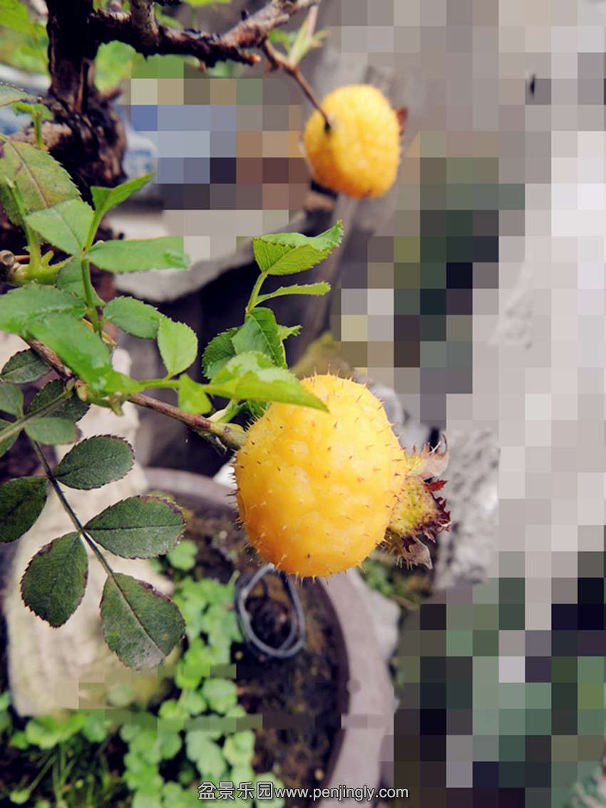 DSCN1636_.jpg