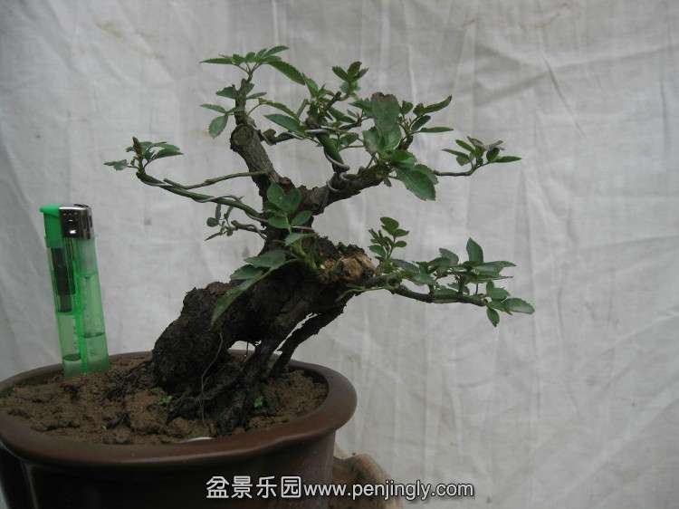 Ǿޱ2.jpg
